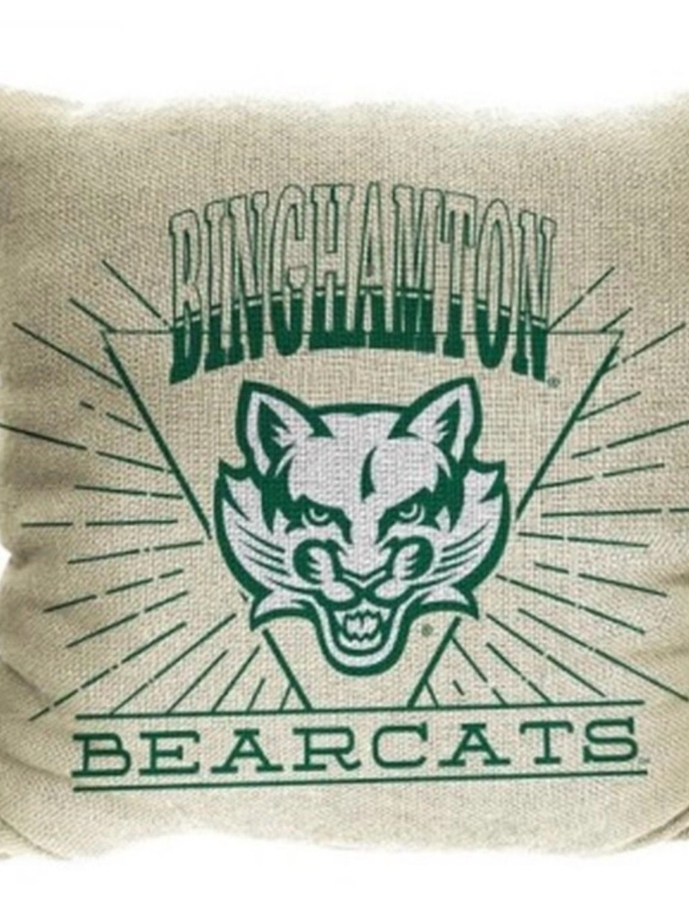 NWT! NCAA BINGHAMTON BEARCATS 26 X 26 WOVEN TAPESTRY Throw Pillow